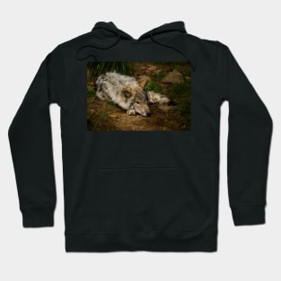 Timber Wolf Pup Hoodie